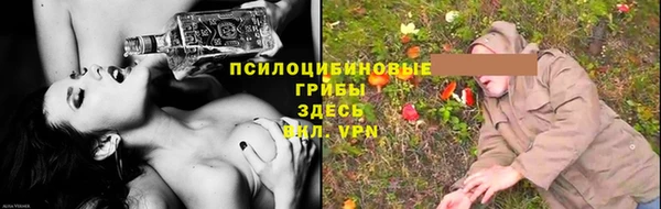 прущие крисы Пролетарск