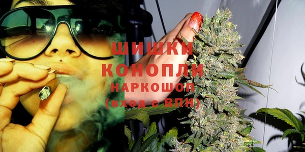 spice Заводоуковск