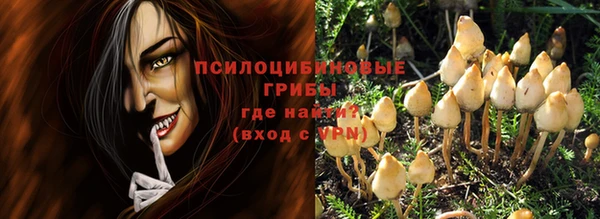 spice Заводоуковск