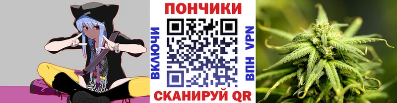 где можно купить наркотик  Болохово  Конопля сатива 